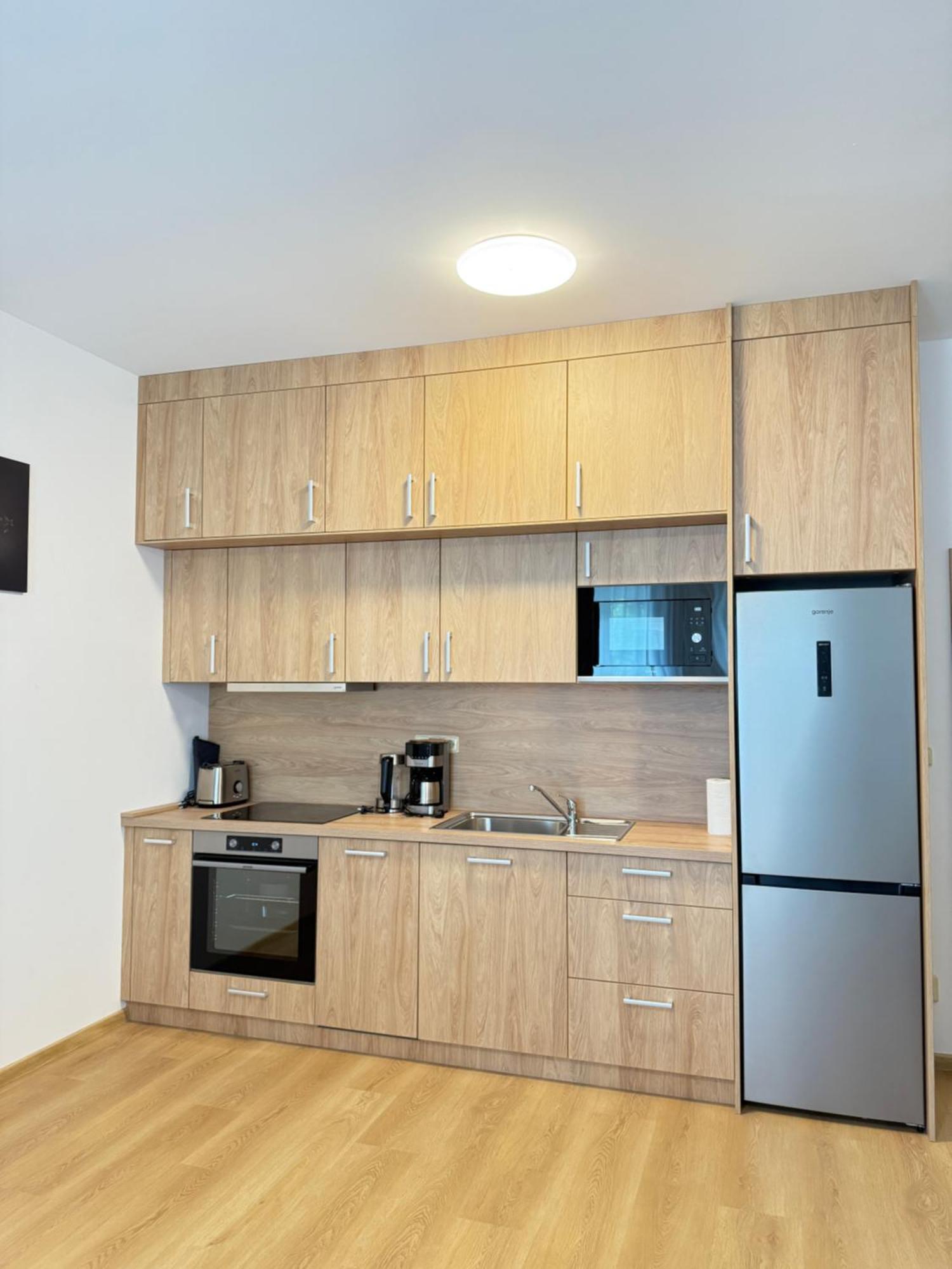 Riverside Apartment Prague