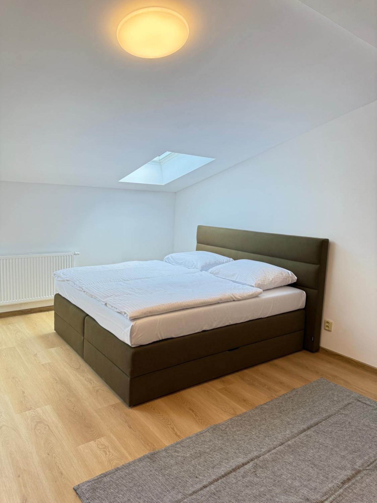 Apartment Riverside Prag
